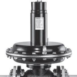 FRM Series (DN 25- DN 50) Regulators